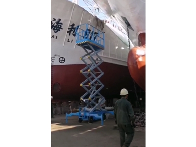 港口升降機客戶案例